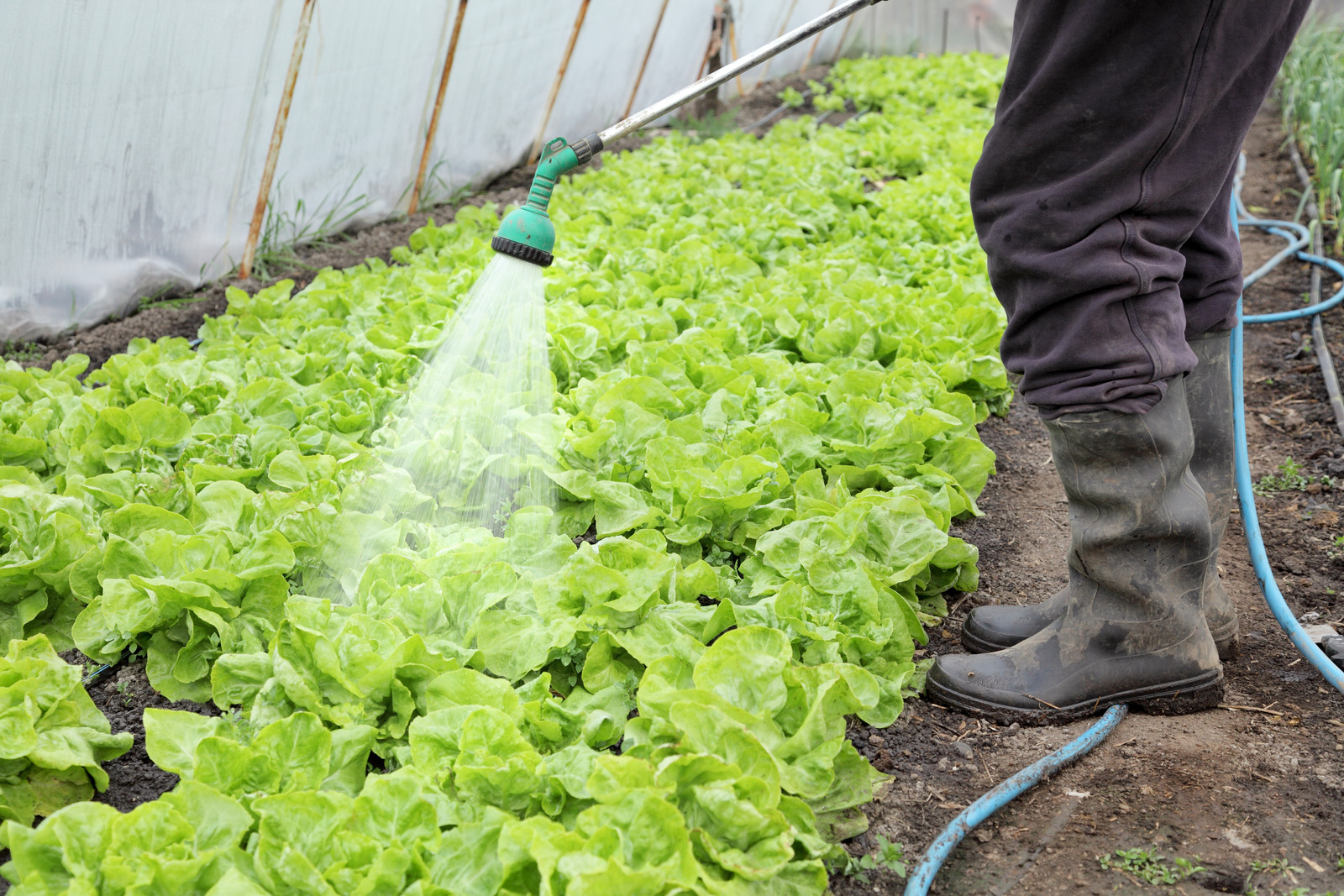 How NASA supports agriculture